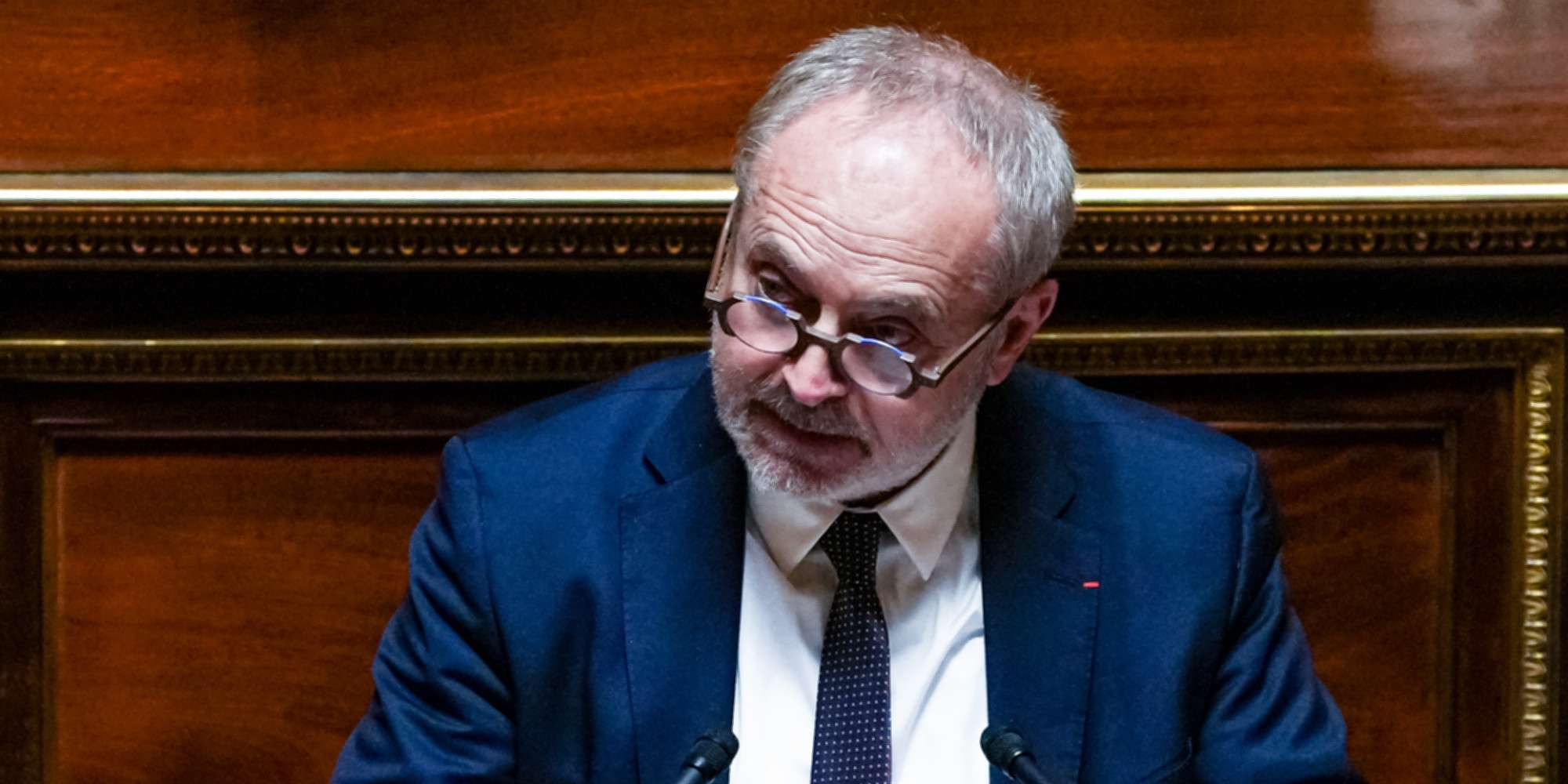 Senateur Joel Guerriau Députée